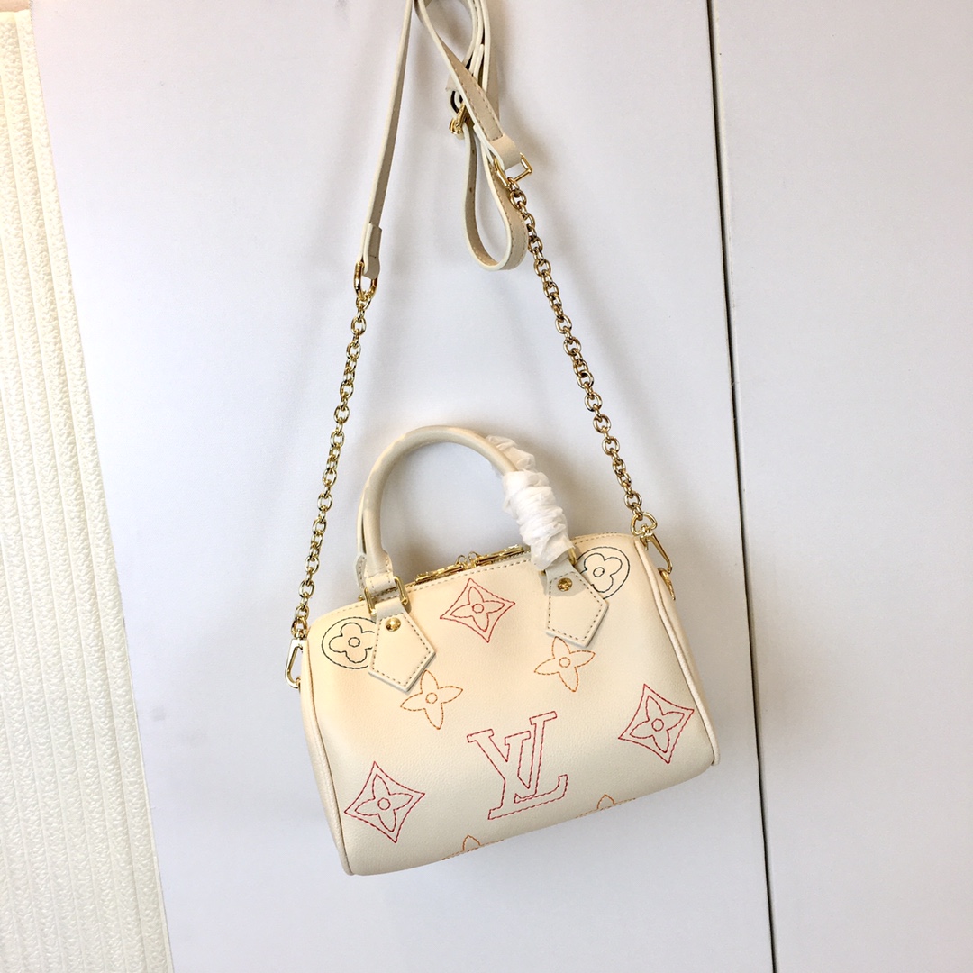 LV bag 294